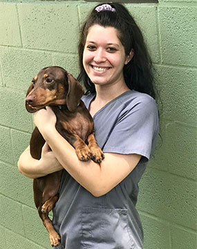 Lauren - Kennel Technician - Mount Dora Veterinary Hospital